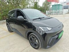 BYD Seagull Freedom Edition - photo 3