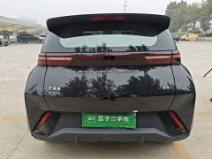 BYD Seagull Freedom Edition - photo 5