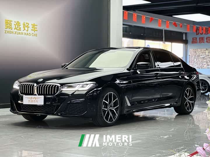 BMW 5 Series 530Li Luxury M Sport Package - автомобиль из Китая