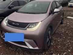 BYD Dolphin 420km Freedom Edition - ფოტო 1