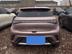 BYD Dolphin 420km Freedom Edition - ფოტო 8