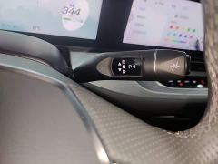 Arcfox Alpha-S 735E Forest Edition 160kW - ფოტო 13