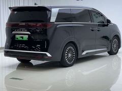 Denza D9 DM-i 970 AWD Premium Edition - photo 9