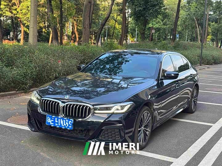 BMW 5 Series 530Li Premier M Sport Package - ავტომობილი ჩინეთიდან