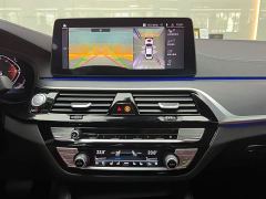 BMW 5 Series 530Li Luxury M Sport Package - ფოტო 12