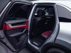 Porsche Cayenne 3.0T - ფოტო 19