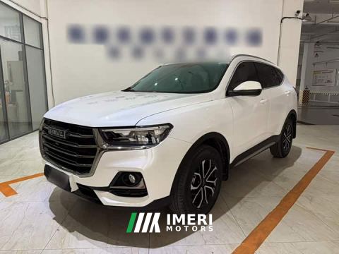 2022 Haval H6 National Trend Edition 1.5T Automatic Urban Version - автомобиль из Китая
