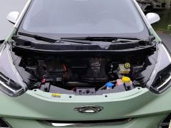 Chery Ant Sweet Pink Half-Sugar Ternary Lithium 30kW 301km - ფოტო 10