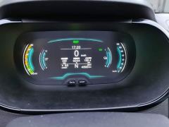 Chery Ant Sweet Pink Half-Sugar Ternary Lithium 30kW 301km - ფოტო 14