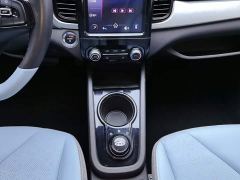 Chery Ant Sweet Pink Half-Sugar Ternary Lithium 30kW 301km - ფოტო 16