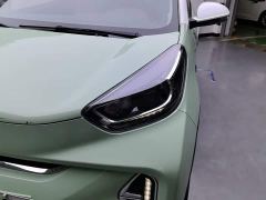 Chery Ant Sweet Pink Half-Sugar Ternary Lithium 30kW 301km - ფოტო 5