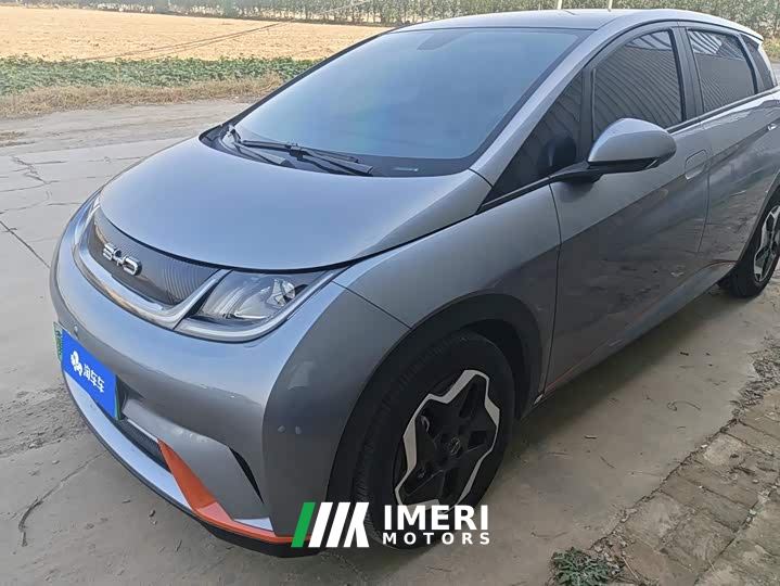 BYD Dolphin 405km Fashion Edition - ავტომობილი ჩინეთიდან