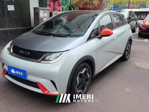 2022 BYD Dolphin 405km Fashion Edition - ავტომობილი ჩინეთიდან