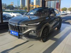 Changan Oushan X5 1.5T DCT Premier - ფოტო 1