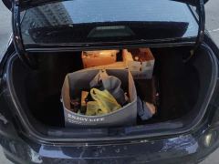 Volkswagen Lavida 300TSI DSG Starry Sky Full-Featured Edition - фото 4