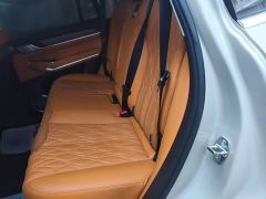 Tank 500 3.0T Business Edition Landscape Trim 5-Seater - photo 16