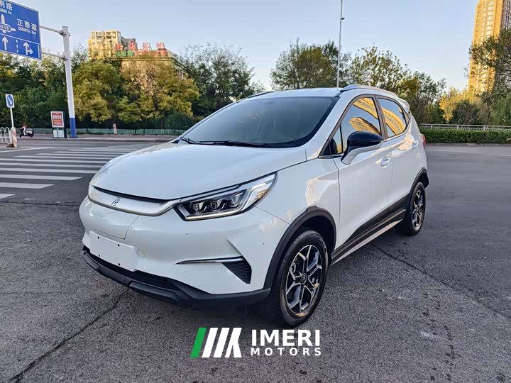BYD Yuan Pro 401KM Luxury - ავტომობილი ჩინეთიდან
