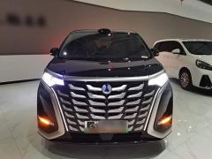 Denza D9 DM-i Smart Drive 1020 Four-Wheel Drive Flagship - photo 2