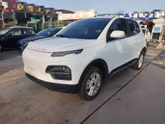 Dayun Yuehu 300 Standard Edition - photo 1