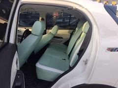 Dayun Yuehu 300 Standard Edition - photo 16
