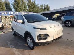 Dayun Yuehu 300 Standard Edition - photo 3