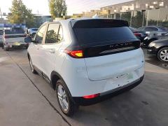 Dayun Yuehu 300 Standard Edition - photo 4