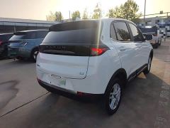 Dayun Yuehu 300 Standard Edition - photo 6