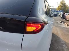 Dayun Yuehu 300 Standard Edition - photo 7