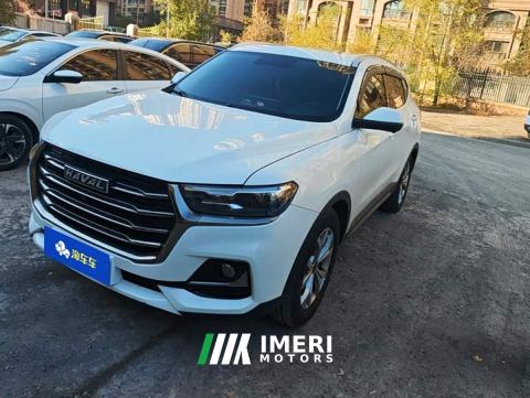 2023 Haval H6 National Trend 1.5T Automatic Champion Edition - автомобиль из Китая