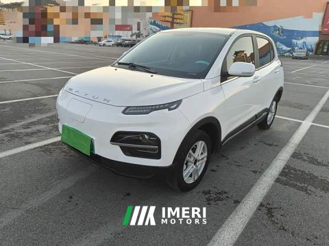 2023 Dayun Yuehu 300 Standard Edition - car from China