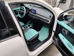 Dayun Yuehu 300 Standard Edition - ფოტო 17