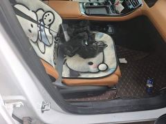 Geely Boyue L Fourth Generation 1.5TD DCT Jinxiu - photo 8