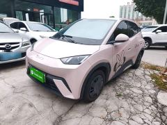 BYD Seagull Glory Edition 305km Vitality Version - photo 1