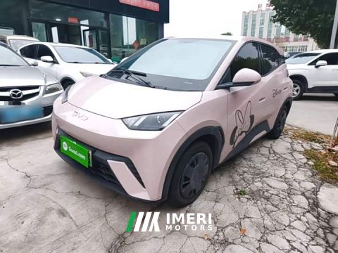 2024 BYD Seagull Glory Edition 305km Vitality Version - ავტომობილი ჩინეთიდან