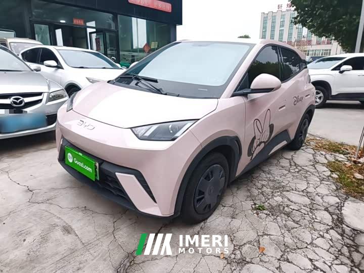BYD Seagull Glory Edition 305km Vitality Version