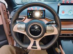 BYD Seagull Glory Edition 305km Vitality Version - photo 10