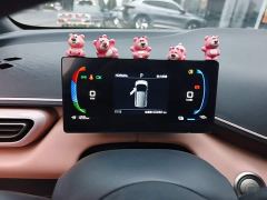 BYD Seagull Glory Edition 305km Vitality Version - photo 11