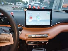 BYD Seagull Glory Edition 305km Vitality Version - photo 12