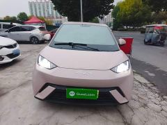 BYD Seagull Glory Edition 305km Vitality Version - photo 2