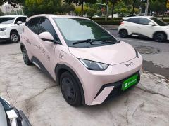 BYD Seagull Glory Edition 305km Vitality Version - photo 3