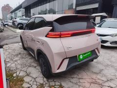 BYD Seagull Glory Edition 305km Vitality Version - photo 4