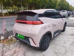 BYD Seagull Glory Edition 305km Vitality Version - photo 6