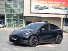 Tesla Model Y Performance All-Wheel Drive - ფოტო 1