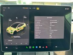 Tesla Model Y Performance All-Wheel Drive - ფოტო 9