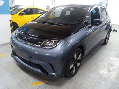 BYD Dolphin 401km Knight Edition - ფოტო 1