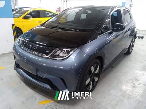 2023 BYD Dolphin 401km Knight Edition - ავტომობილი ჩინეთიდან