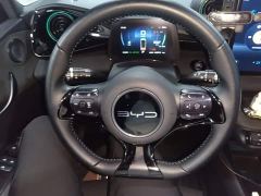 BYD Dolphin 401km Knight Edition - ფოტო 10