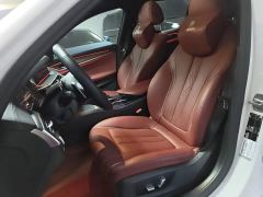 BMW 5 Series Facelift 530Li Premier M Sport Package - photo 14