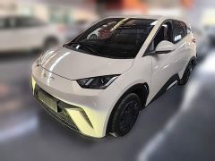 BYD Seagull Vitality Edition - photo 1