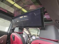 BMW 5 Series 530Li Luxury M Sport Package - photo 10